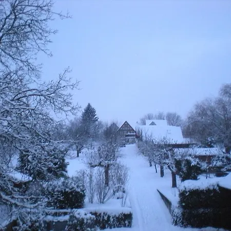 Restaurant A L'etoile Merkwiller-Pechelbronn